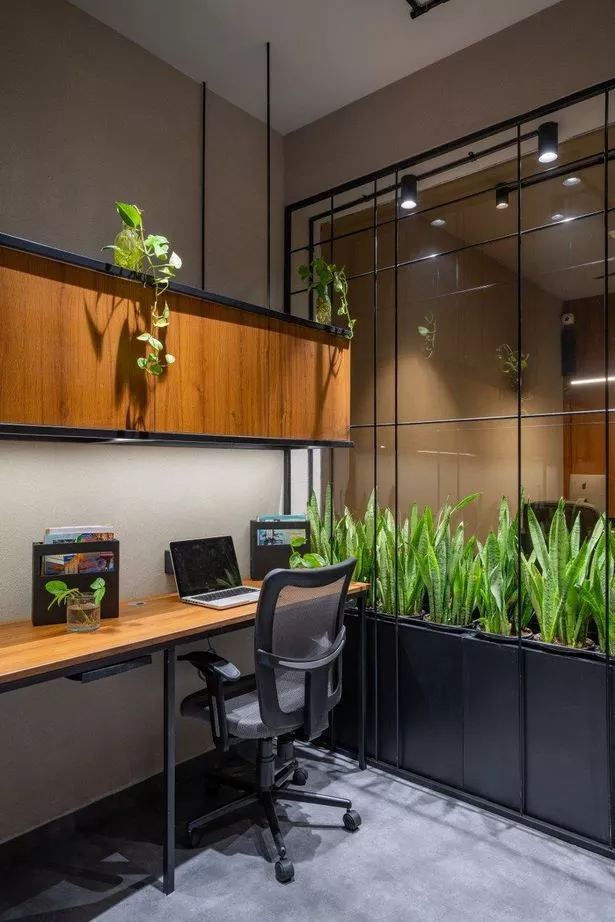 Egyszerű kis irodai belsőépítészet