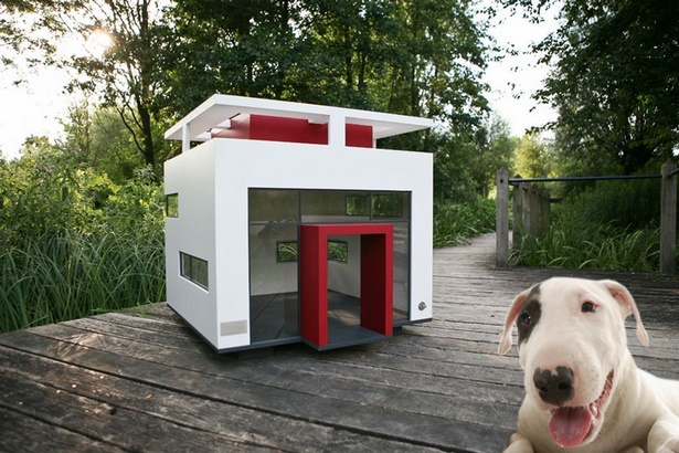 Kutya házak tervez