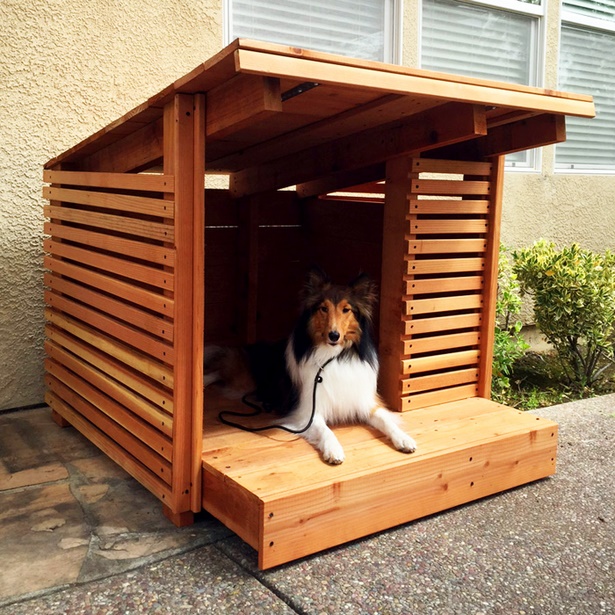 Kutya házak tervez