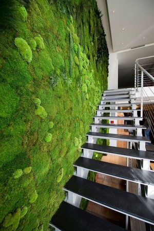 Zöld belsőépítészet